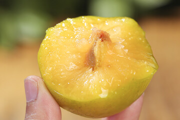 Fresh Yellow Peach Half with Pit Held in Hand - Juicy Summer Fruit Close-up