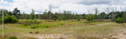 Panoramic view of a green clearing surrounded by forest in Belgium