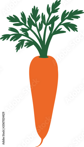 Orange Carrot with Green Leaves on White Background