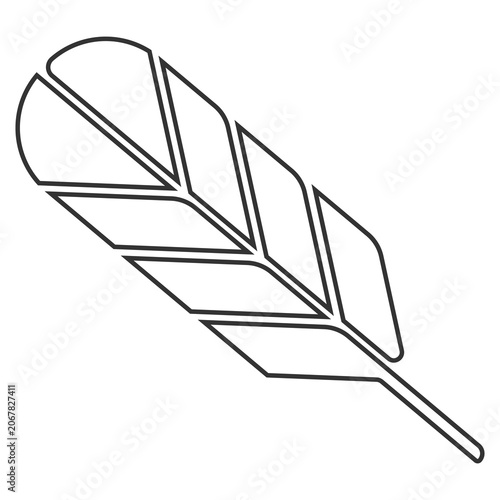 outline light feather icon
