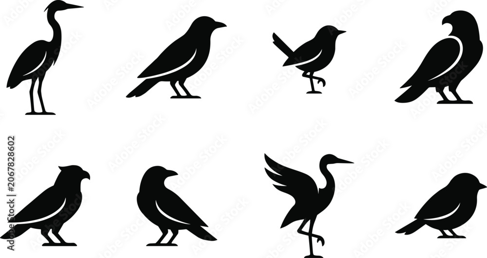 Fototapeta premium Black Bird Silhouette Collection Set Featuring Various Species and Poses on White Background