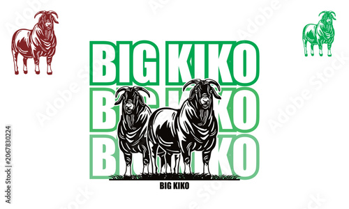 Photography BIG KIKO SHEEP LOGO, silhouette of great strong seep standing vector illustratio