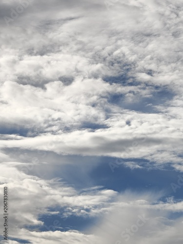 Layered Wispy Clouds Across Blue Grey Sky with Bird
