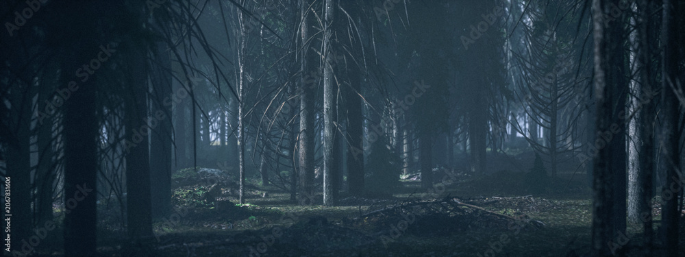 Naklejka premium Dark misty eerie forest with fir trees. 3D rendered image.