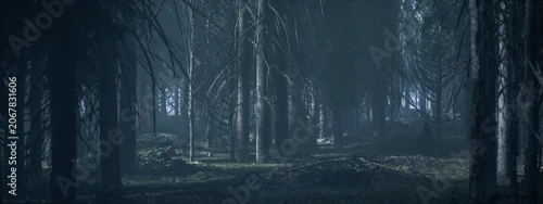 Panel kuchenny z motywem Dark misty eerie forest with fir trees. 3D rendered image.