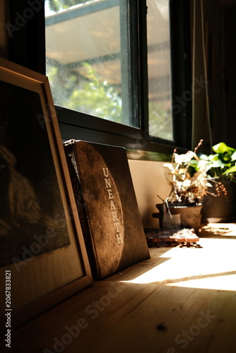 Contemplative Interior Still Life Featuring a Book Titled Unearth on a Sunlit Windowsill