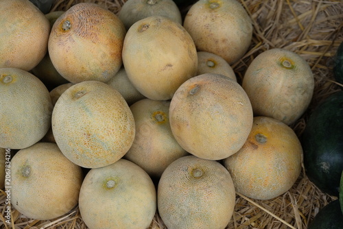 pile of post-harvest melons in the fruit warehouse.