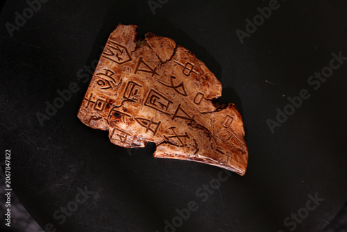 Ancient Chinese Oracle Bone with Shang Dynasty Inscriptions - Historical Tortoise Shell Archaeological Artifact