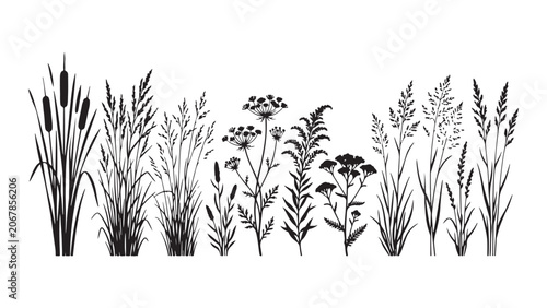 Black Silhouette of Wild Meadow Grasses and Field Flowers Collection
