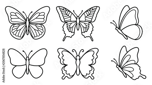 Photography Butterfly Collection Black And White Vector Illustration On White Background
