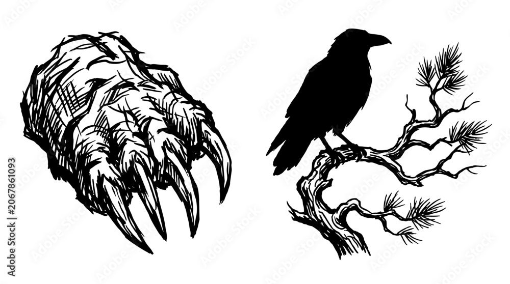 Obraz premium Monster Claw and Raven on Pine Branch Sketch
