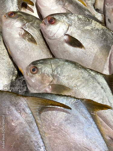 Several fresh pomfret fish were laid out on ice for sale at the seafood market.