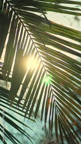 Beautiful sunlight shining through green palm leaves in a tropical garden. Low angle shot of coconut fronds with bright sun flare and lens flare effect, creating a warm summer atmosphere for wellness