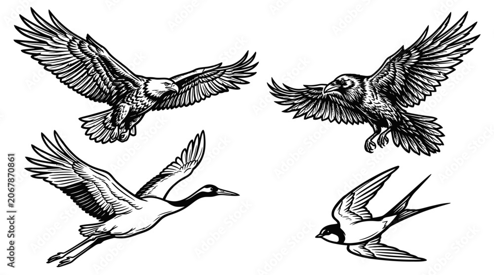 Obraz premium Diverse Birds Flying: Eagle, Crane, Crow, Swallow Sketch