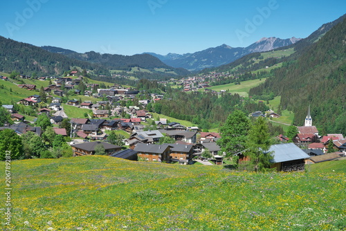 Beautiful Village Hirschegg