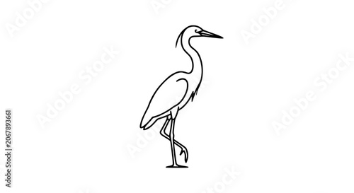 Foto swan illustration, elegant swan, swimming swan, black and white swan, bird line