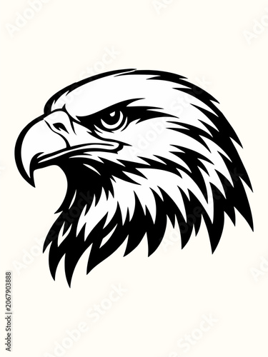 eagle head vector illustration