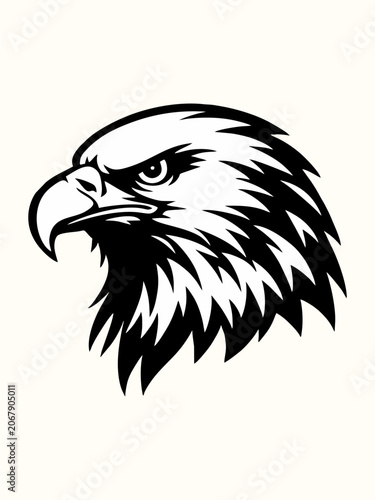 eagle head vector illustration