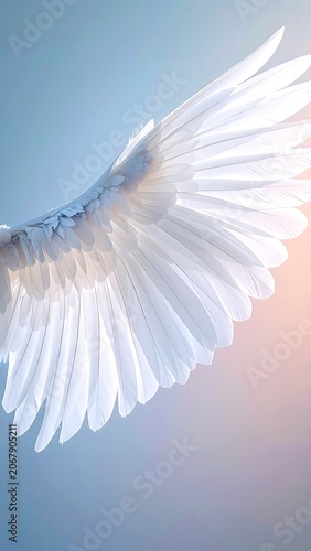 A Close-Up View of a White Angel Wing Against a Softly Blurred Background