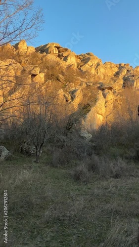 Fast upward camera move along an old dead tree trunk, blurring into motion before revealing a golden limestone cliff in warm low sunlight against a blue sky in early spring