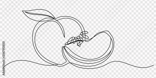 Tableau sur toile Peach sliced with wedge arranged on continuous line white background
