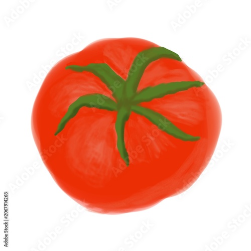 Single hand drawn red tomato illustration isolated on a light background. Fresh vegetable artwork suitable for food, agriculture, nutrition, recipe, and packaging designs.