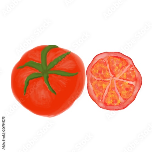 Hand drawn tomato showing whole fruit and cross section slice isolated on a light background. Ideal for food packaging, recipe content, nutrition concepts, and agricultural designs.