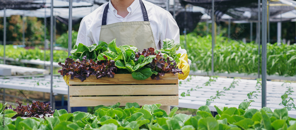 Naklejka premium A man is holding a wooden crate full of greens