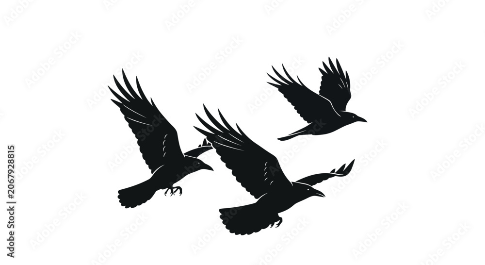 Fototapeta premium Black raven silhouettes in flight, flying crow bird vector illustration, dark gothic corvid group isolated on white background for halloween design