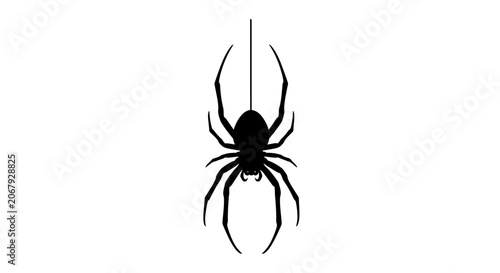Foto Black spider silhouette hanging on a web thread, spooky arachnid vector icon, mi