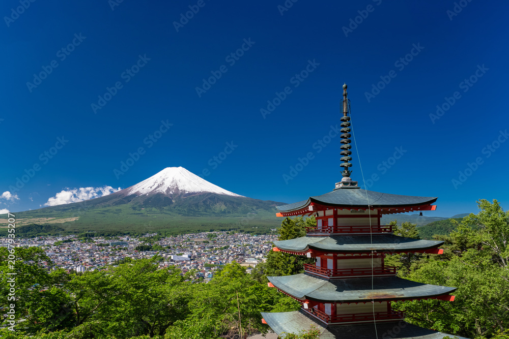 Fototapeta premium 富士山と新緑が美しい新倉浅間公園の眺望 