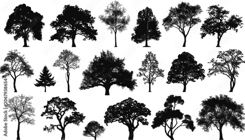 Fototapeta premium Trees collection features eighteen distinct black silhouettes of various species including oaks and pines arranged in a grid format to provide a comprehensive library of botanical design elements.