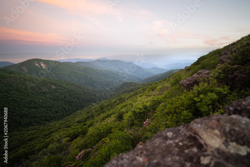 Early morning view from Craggy Pinnacle with warm sunlight illuminating the forest below, casting golden tones across the Blue Ridge Mountain landscape in a serene sunrise atmosphere.