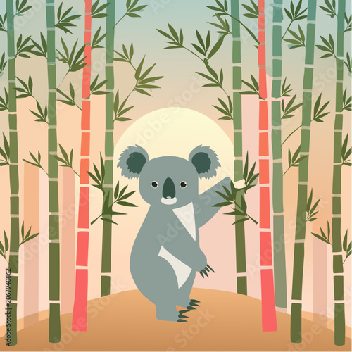 Koala debout parmi des bambous colorés au coucher du soleil