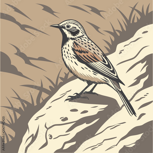 Small bird perched on a rock in a natural environment with self sufficiency wildlife outdoors feathers illustration creature environment ecosystem biodiversity conservation landscape