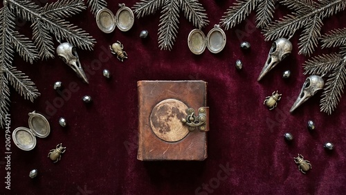 Flat lay of a rustic leather journal with a moon emblem, bird skulls, and vintage lockets on a dark velvet background.