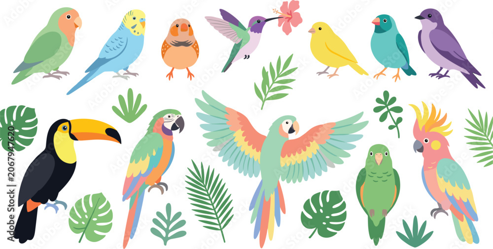Fototapeta premium Tropical Exotic Birds and Jungle Palm Leaves Vector Collection Featuring Toucan Macaw Cockatoo Hummingbird Budgie Canary and Lovebird Illustrations