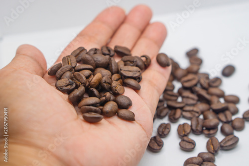 Close-up of hand holding roasted coffee beans on white background.