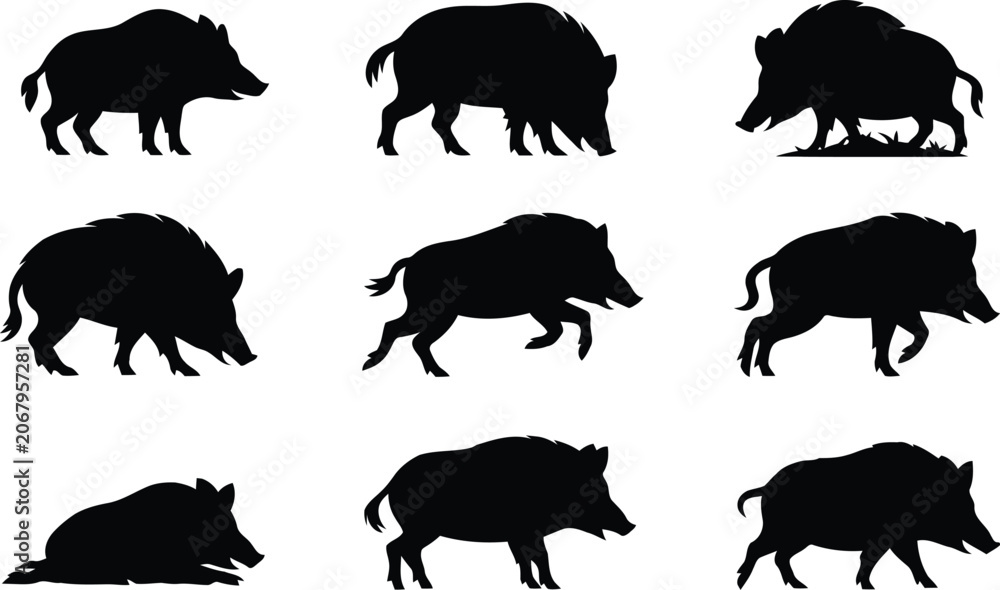 Fototapeta premium Set of black silhouettes of wild boars in various poses and walking positions