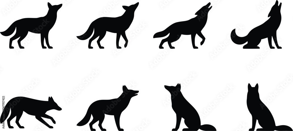 Fototapeta premium Set of black wolf silhouettes showing different poses and movements of wild animals