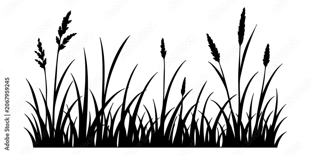 Fototapeta premium Wild meadow grass silhouette with seed heads and varied blades, isolated black vector border clipart for landscaping, decoration and rustic natural design Vector illustration