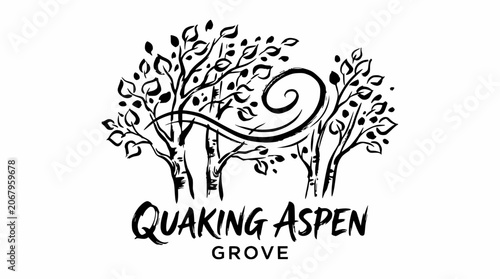Bild auf Leinwand Minimalist quaking aspen grove tree line logo