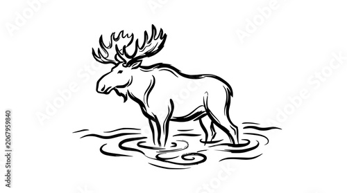 Minimalist moose line art in water