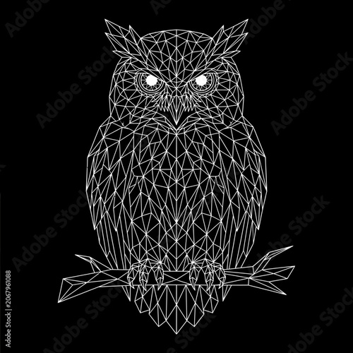 A large white owl sitting owl sitting on a branch with lines in a dark background