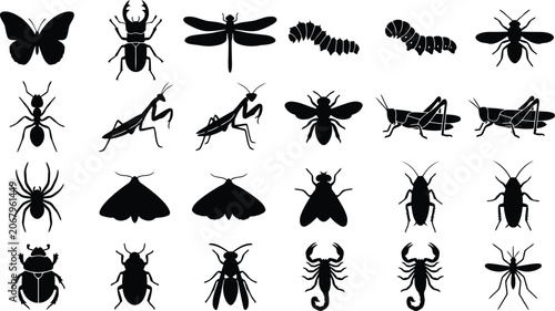 Diverse insect and bug species black silhouettes vector collection set