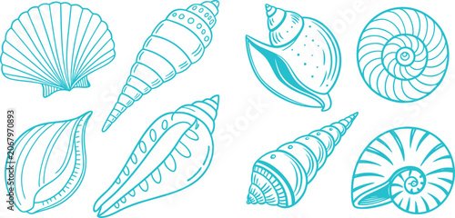 Photography Seashell collection line art vector featuring spiral conch, scallop and nautilus shell illustrations, elegant marine outline icons for coastal, ocean and beach themed designs
