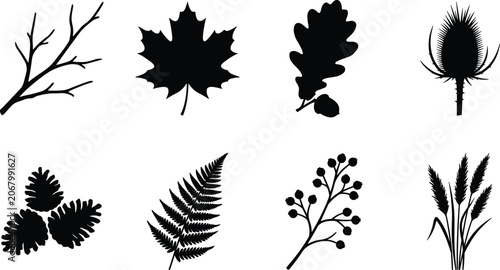 Set of autumn forest flora black silhouettes representing botanical leaf branch pine cone and wild plants