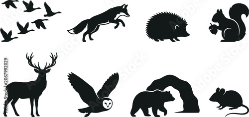Set of wild forest animals and autumn birds black silhouettes representing woodland wildlife and northern nature fauna