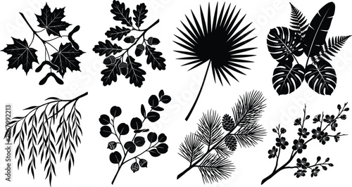 Tree branches and leaves vector silhouette icon set featuring maple oak palm tropical bouquet willow eucalyptus pine and cherry blossom