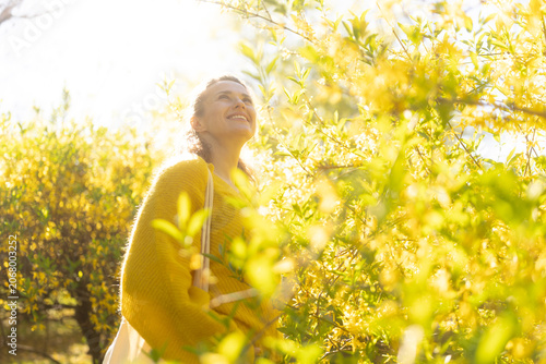 Looking upward with a warm smile, a woman in a yellow sweater finds inspiration and contentment amidst blooming forsythia during a sunny spring day.